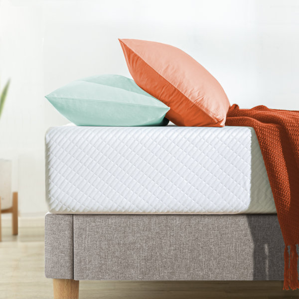 The Twillery Co.® Meacham 10'' Medium Mattress & Reviews Wayfair